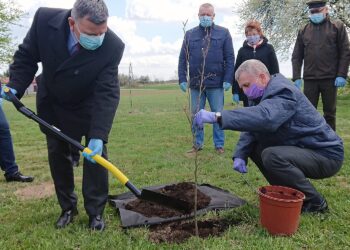 06.05.2021. Bukowie, gm. Kunów. Sadzenie buków. Na zdjęciu: Andrzej Kryj - poseł PiS (z lewej) i Stanisław Dziułka - sołtys Bukowia / Emilia Sitarska / Radio Kielce