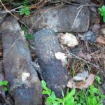 24.05.2021. Suchedniów. Niewybuchy zabezpieczone przez Straż Leśną / Nadleśnictwo Suchedniów