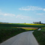 Nikisiałka Mała. Zespół dworski i jego okolice / Emilia Sitarska / Radio Kielce