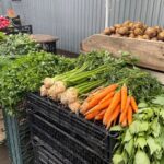 30.05.2021. Kielce. Plac targowy. Nowalijki / Michał Kita / Radio Kielce