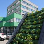 27.05.2021. Opatów. Zielony przystanek przy ul. Sienkiewicza / Emilia Sitarska / Radio Kielce