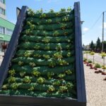 27.05.2021. Opatów. Zielony przystanek przy ul. Sienkiewicza / Emilia Sitarska / Radio Kielce