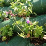 27.05.2021. Opatów. Zielony przystanek przy ul. Sienkiewicza / Emilia Sitarska / Radio Kielce