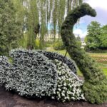 28.05.2021. Kielce. Nasadzenia kwiatów / Wiktor Taszłow / Radio Kielce