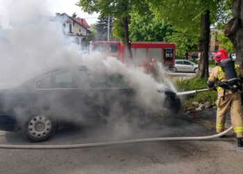 21.05.2021 Kazimierza Wielka. Pożar samochodu / KP PSP Kazimierza Wielka