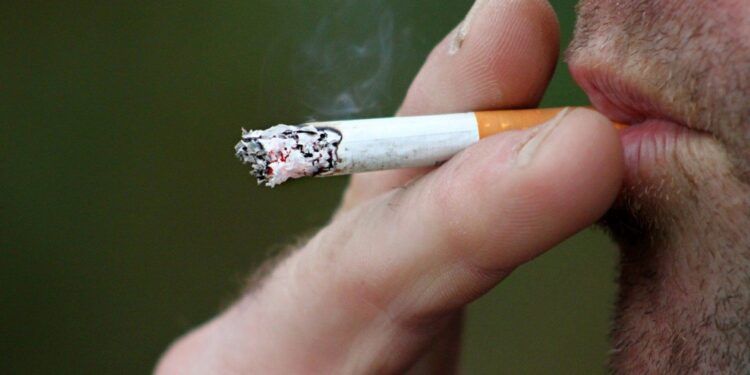 Papieros, palenie papierosów / pixabay.com