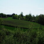 Tudorów. Baszta i jej okolice / Emilia Sitarska / Radio Kielce