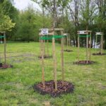 18.05.2021. Kielce. Park Kielczan / Wiktor Taszłow / Radio Kielce