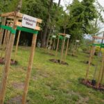 18.05.2021. Kielce. Park Kielczan / Wiktor Taszłow / Radio Kielce