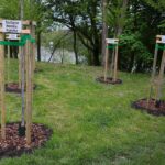 18.05.2021. Kielce. Park Kielczan / Wiktor Taszłow / Radio Kielce
