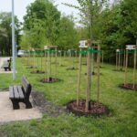 18.05.2021. Kielce. Park Kielczan / Wiktor Taszłow / Radio Kielce