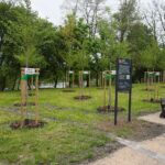 18.05.2021. Kielce. Park Kielczan / Wiktor Taszłow / Radio Kielce