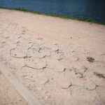 11.05.2021. Kielce. Ścieżka rowerowa wokół zalewu kieleckiego / Wiktor Taszłow / Radio Kielce