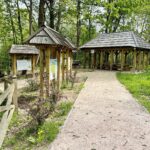 14.05.2021. Zagnańsk. Dąb Bartek / Wiktor Taszłow / Radio Kielce