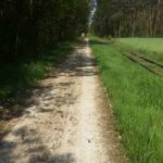 Powiat jędrzejowski. Ścieżki rowerowe / Magdalena Galas-Klusek / Radio Kielce