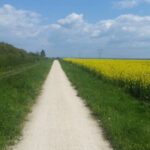 Powiat jędrzejowski. Ścieżki rowerowe / Magdalena Galas-Klusek / Radio Kielce