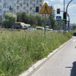 08.06.2021. Kielce. Wysokie trawy przy kieleckich ulicach / Wiktor Taszłow / Radio Kielce