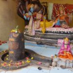 Indie / Danuta Rasała