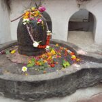 Indie / Danuta Rasała