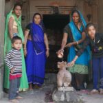 Indie / Danuta Rasała