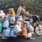 Indie / Danuta Rasała