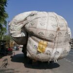 Indie / Danuta Rasała