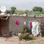 Indie / Danuta Rasała