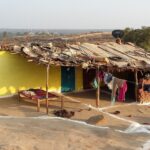 Indie / Danuta Rasała