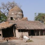 Indie / Danuta Rasała