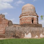 Indie / Danuta Rasała