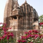 Indie / Danuta Rasała