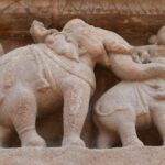 Indie / Danuta Rasała