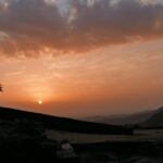 Indie / Danuta Rasała