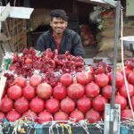 Indie / Danuta Rasała