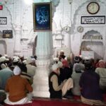 Indie / Danuta Rasała