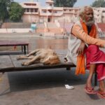 Indie / Danuta Rasała