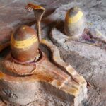 Indie / Danuta Rasała