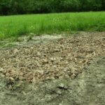 02.05.2021. Droga powiatowa nr 0102T Stopnica-Folwarki-Skrobaczów na odcinku 1920 m / Jan Bartosik/Facebook