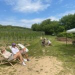 05.06.2021 Milczany. Święto Kwitnącej Winorośli / Grażyna Szlęzak-Wójcik / Radio Kielce