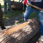 19.06.2021 Maleniec. Warsztaty z bartnictwa / Magdalena Galas-Klusek / Radio Kielce