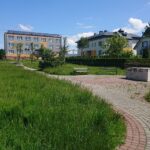 19.06.2021. Baćkowice. Teren przed rewitalizacją / Emilia Sitarska / Radio Kielce