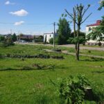 19.06.2021. Baćkowice. Teren przed rewitalizacją / Emilia Sitarska / Radio Kielce