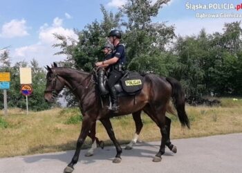 Śląska Policja / Dąbrowa Górnicza