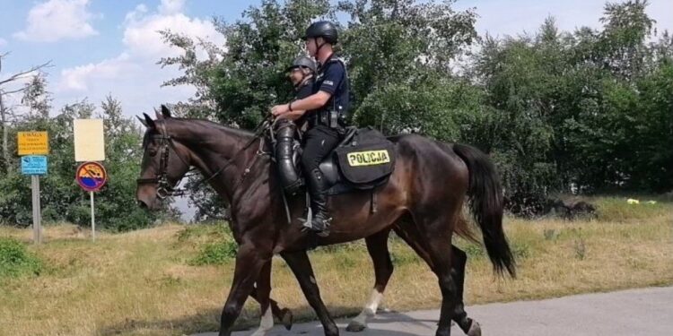 Śląska Policja / Dąbrowa Górnicza