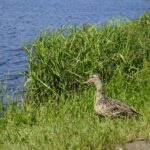 18.06.2021. Cedzyna. Zalew / Marcin Marszałek / Radio Kielce