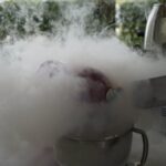 30.06.2021. Letnia kuchnia Radia Kielce. Kosmiczna środa / Dionizy Krawczyński / Radio Kielce