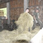 26.06.2021. Ciuślice, w gminie Czarnocin. Terytorialsi pomagają w usuwaniu skutków nawałnicy / ppor. Daniel Woś / ŚBOT