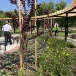 17.06.2021. Ostrowiec Świętokrzyski. Ogród Zdrowia / Emilia Sitarska / Radio Kielce