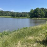 18.06.2021. Suchedniów. Zalew / Anna Głąb / Radio Kielce