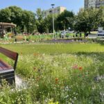 17.06.2021. Ostrowiec Świętokrzyski. Ogród Zdrowia / Emilia Sitarska / Radio Kielce